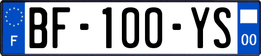 BF-100-YS