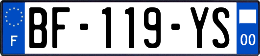BF-119-YS