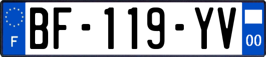 BF-119-YV