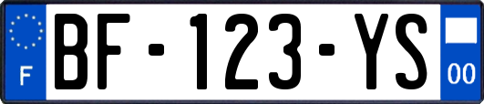 BF-123-YS
