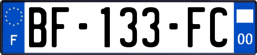 BF-133-FC