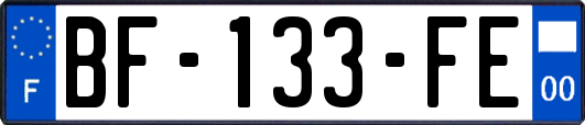 BF-133-FE