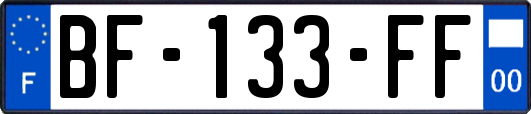 BF-133-FF