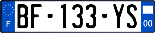 BF-133-YS