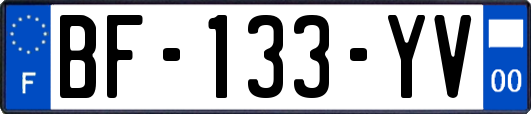 BF-133-YV