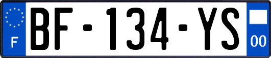 BF-134-YS