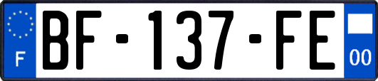 BF-137-FE