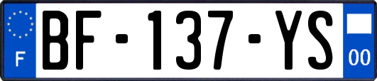 BF-137-YS