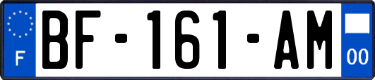 BF-161-AM