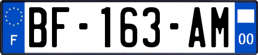 BF-163-AM