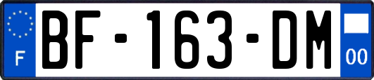 BF-163-DM