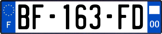 BF-163-FD