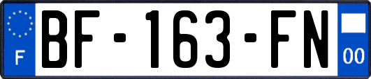 BF-163-FN