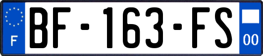 BF-163-FS