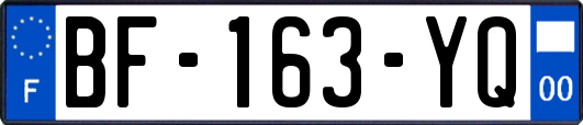 BF-163-YQ