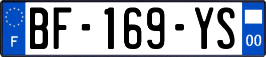 BF-169-YS