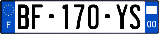 BF-170-YS