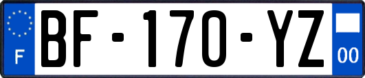 BF-170-YZ
