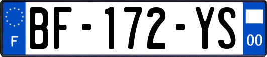 BF-172-YS