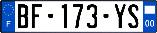BF-173-YS