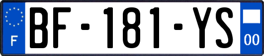 BF-181-YS