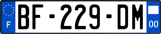 BF-229-DM