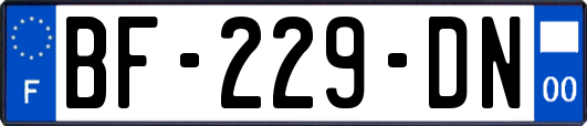 BF-229-DN