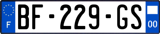 BF-229-GS