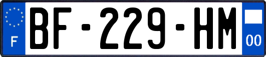 BF-229-HM