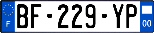 BF-229-YP