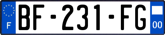 BF-231-FG