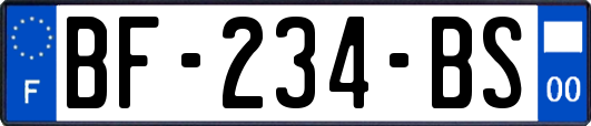 BF-234-BS