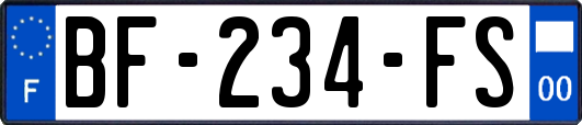 BF-234-FS