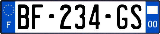 BF-234-GS