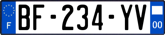 BF-234-YV