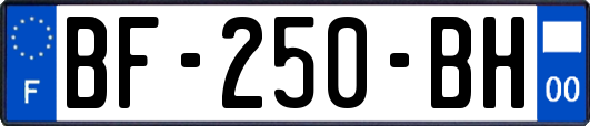 BF-250-BH