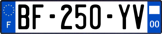 BF-250-YV