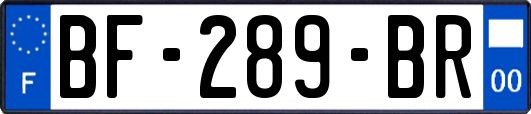 BF-289-BR