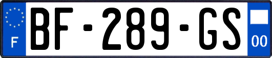 BF-289-GS