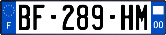 BF-289-HM