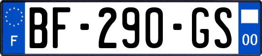 BF-290-GS