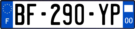 BF-290-YP