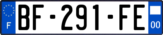 BF-291-FE