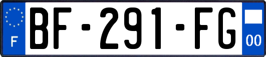 BF-291-FG