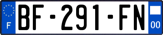 BF-291-FN