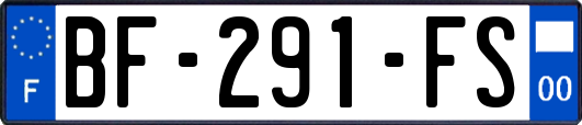 BF-291-FS