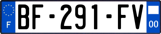 BF-291-FV
