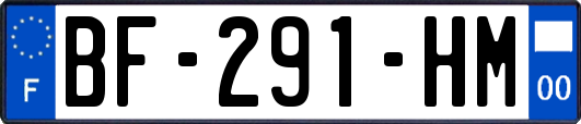 BF-291-HM