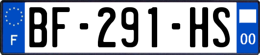 BF-291-HS