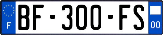 BF-300-FS